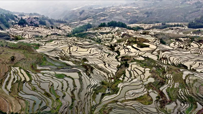 江苏倍力特解析液压缸与气缸在自动化设备中的选型要点