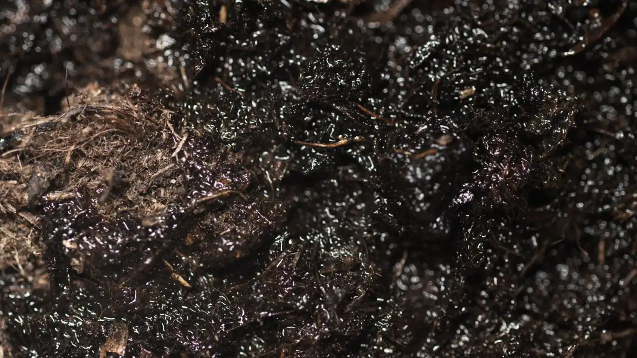 江苏倍力特液压缸与气缸在自动化设备中的选型应用要点